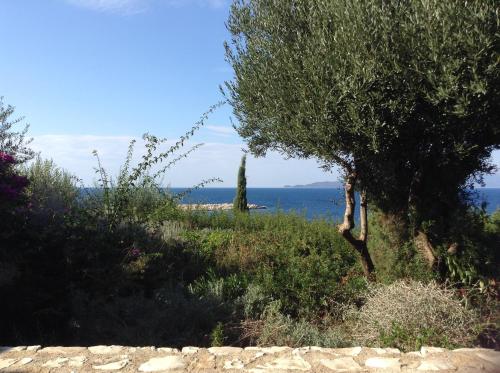 Emelisse Nature Resort