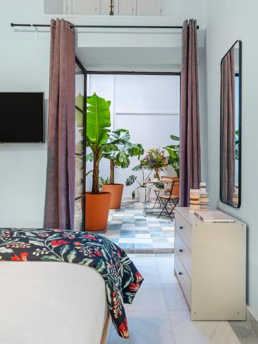 Art Suites By Casa De Indias