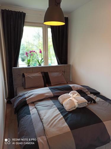 Park Redena Katowice/Chorzów