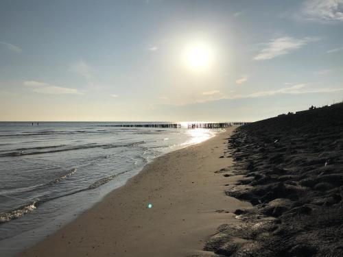 Slapen Aan De Bosweg