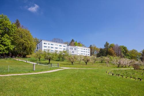 Domaine Notre-Dame de la Route