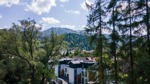 Dream Apart Kalinowa