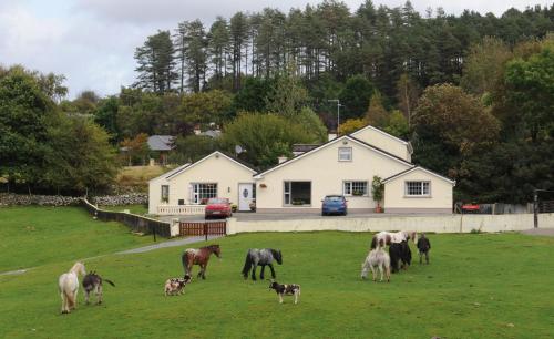 Muckross Stables B&B