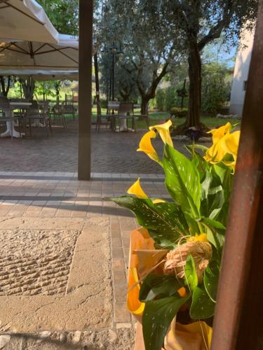 Rustico Di Benellini Angela