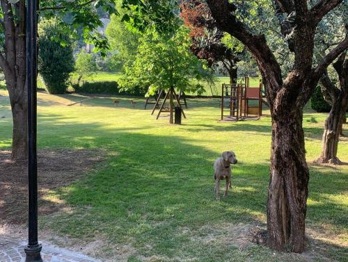 Rustico Di Benellini Angela