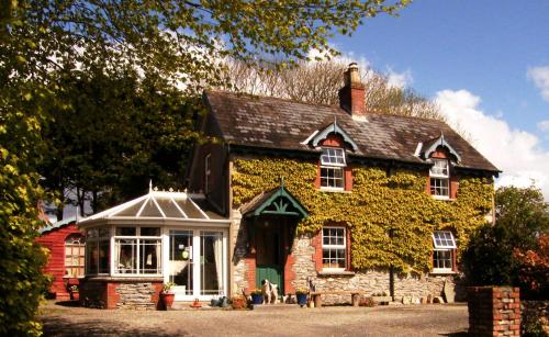 Druid Cottage