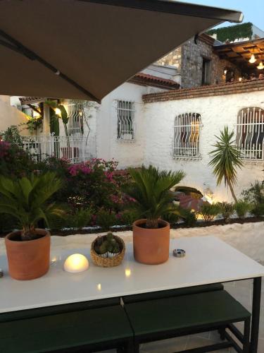 8 Oda Boutique Homes