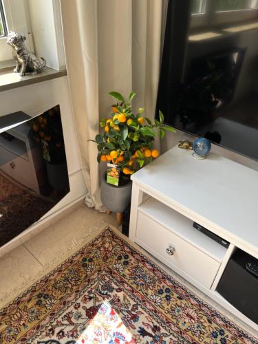 Apartment Messe Hannover