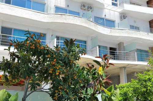 Oceanic Overview Suites