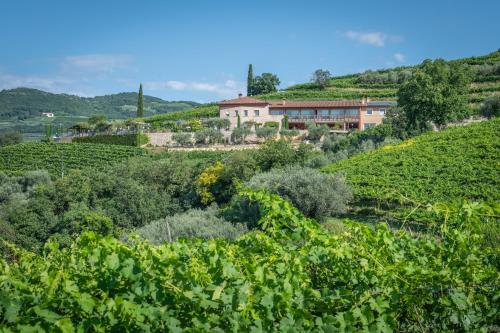 Azienda Agrituristica “I Tamasotti”