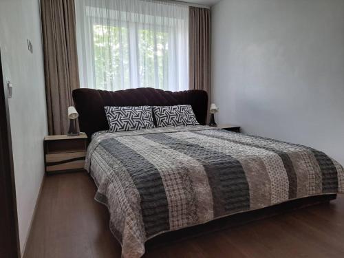 Trumpalaikė nuoma centre