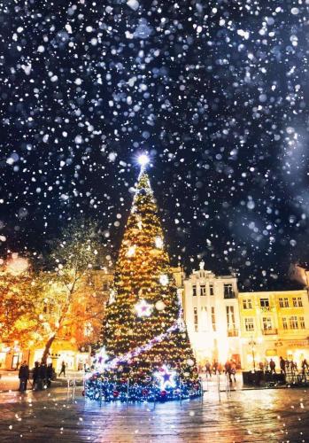 Atlas House Luxury Suites