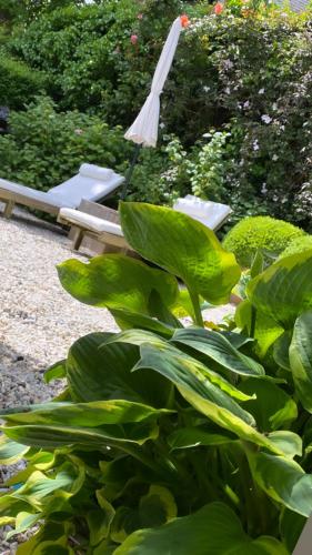 City Boutique Ster Logies Leeuwarden De