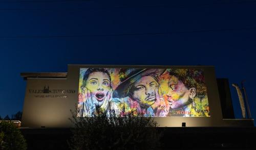 Vale de São Torcato Houses and Wine Bar