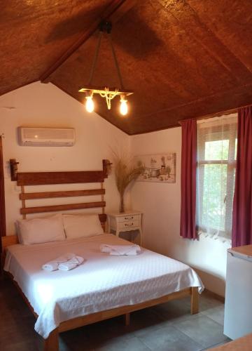 Canario Pension Bungalow