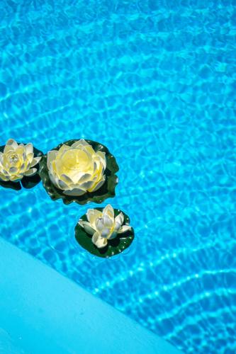 Rodi Blue Apartments