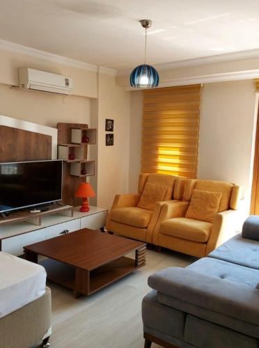 Class Suit Residence