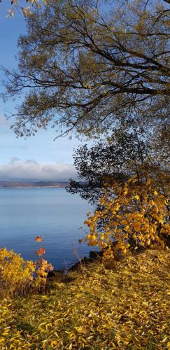 Huskvarna Hotel and Hostel - Rosendala Herrgård
