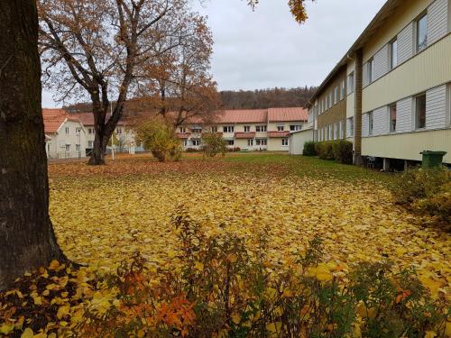 Huskvarna Hotel and Hostel - Rosendala Herrgård