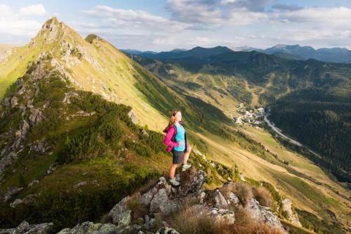 Holzboxen Planneralm