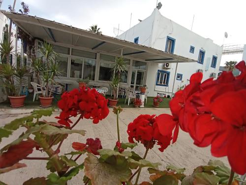 Pay Otel