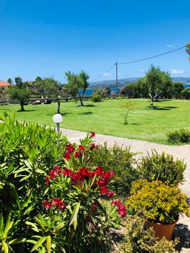 Aloni Studios & Apartments