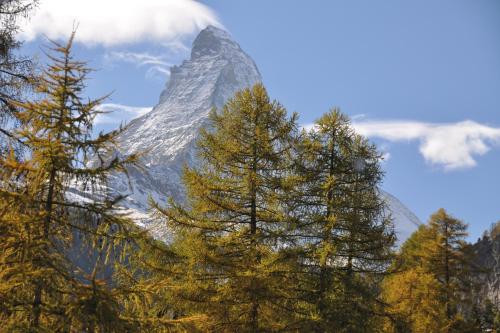 Zermatt Youth Hostel