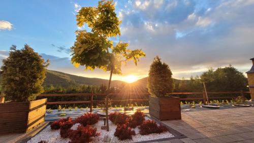 Chaty Na Cholewicy Domki Caloroczne