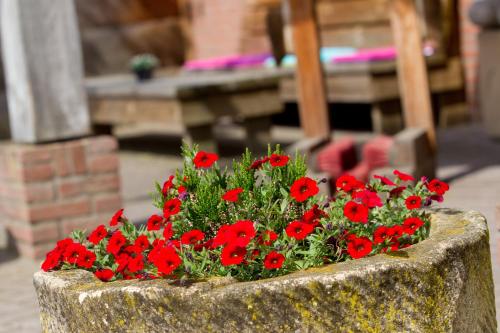 Hotel B&B Erve Bruggert