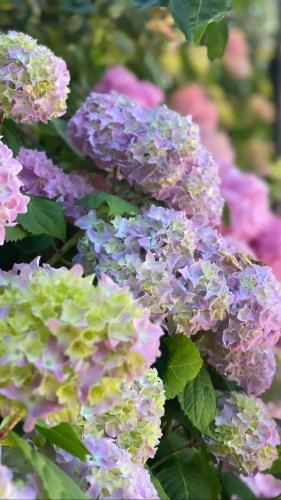 City Boutique Ster Logies Leeuwarden De