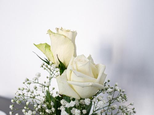 biRose B&B Affittacamere