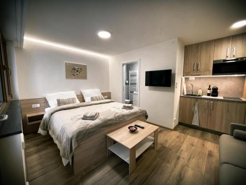 U Králíka, přízemní bezbarierové apartmány A,B,C,D - 50 metrů od vleku - přejdete v lyžácích, pod bobovou dráhou, parkování zdarma, lyžárna s vysoušeči bot,