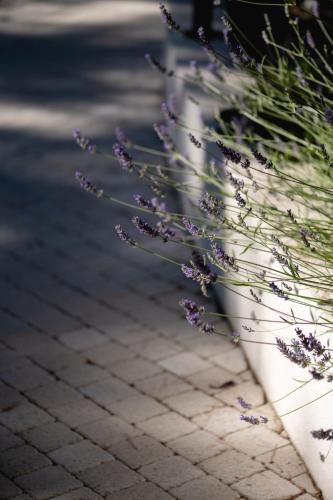 Hôtel Les Volets Rouges - Cassis