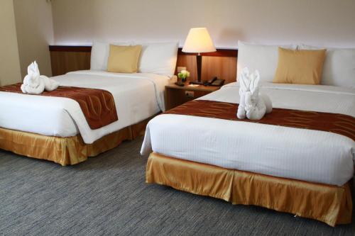 Dohera Hotel