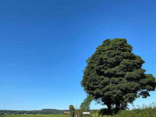 Kitty’s Place, Apartment, Eden Valley, Cumbria