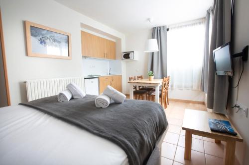 Apartamentos Canillo Ribagrossa 3000