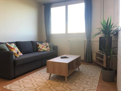 T2 lumineux vue sur Cher, 8mn Gare & centre