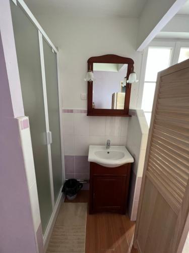 Les Mouettes Blessees