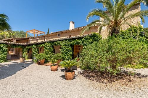 Finca Son Jorbo
