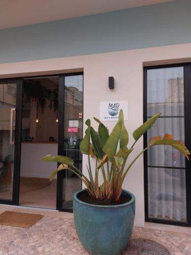 Marsuites