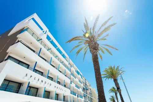 Splendid Hotel Camargue