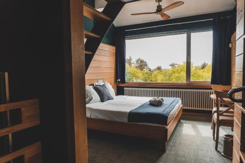 Dennenheuvel - Mont-Des-Pins