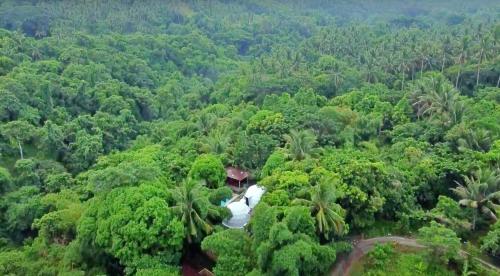 Shanti Wellness Sanctuary
