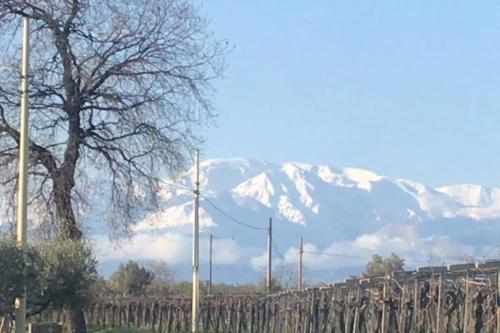 La Casetta