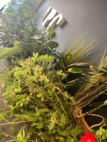 Aparthotel Conseller