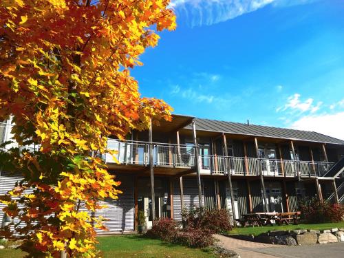 Vikingskipet Motel and Apartments