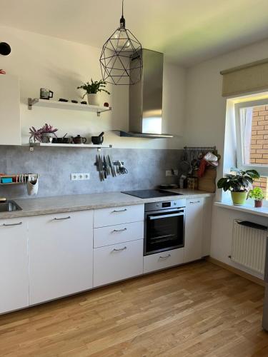 Strelnieku Apartment