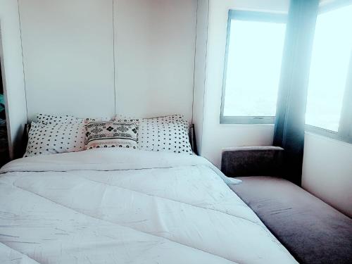The Persimmon Studios
