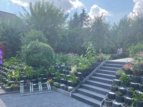 Villa Aida Pokoje Goscinne