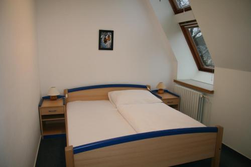 IT Centrum Apartment